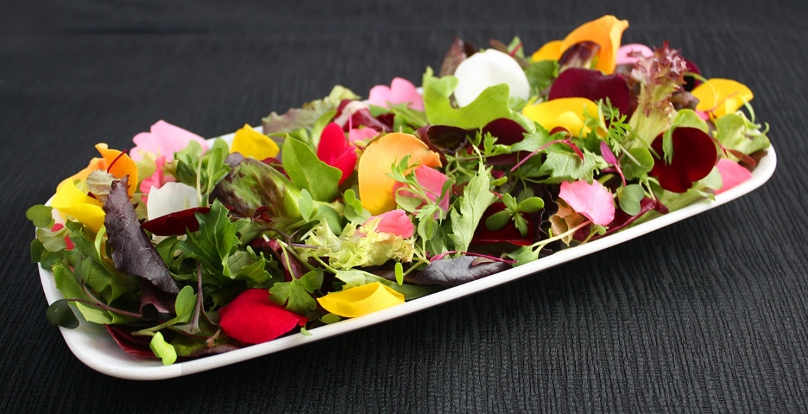 15 Edible Flower recipes you should try!