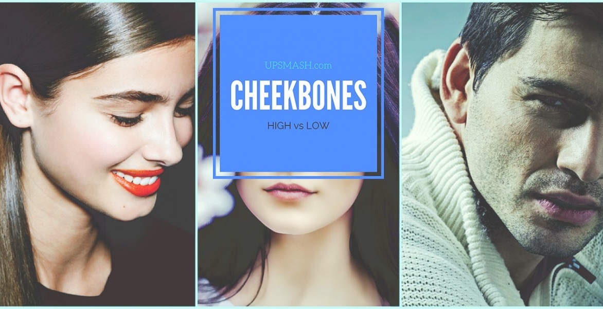 Sparring of High Cheekbones vs Low Cheekbones